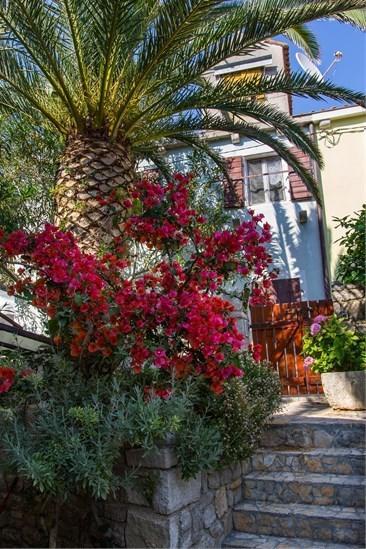 Apartment Julia Veli Lošinj Екстериор снимка